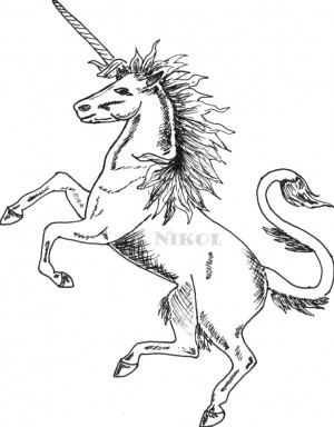 jednorozec.jpg